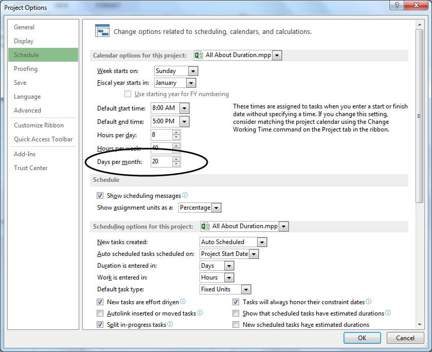 Figure 2: Days per month setting in the Project Options dialog